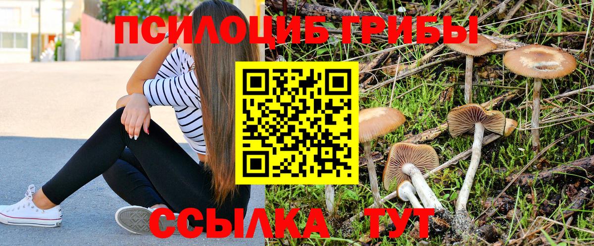 Псилоцибиновые грибы ЛСД  Вход с VPN  Зерноград 