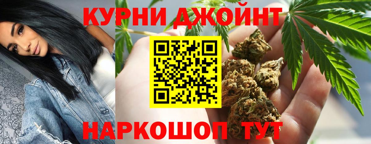 Каннабис OG Kush Зерноград